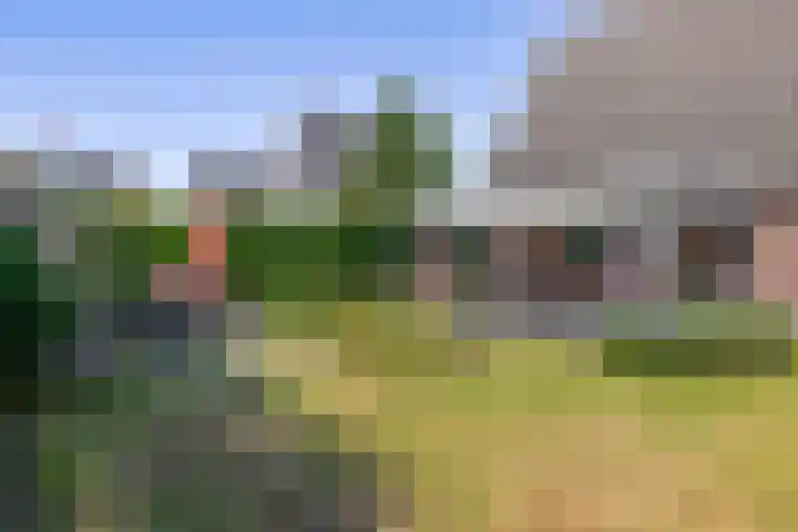 Watermunt 47 Tegelen thumbnail 28