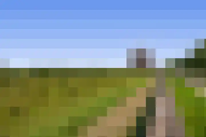 Watermunt 47 Tegelen thumbnail 33
