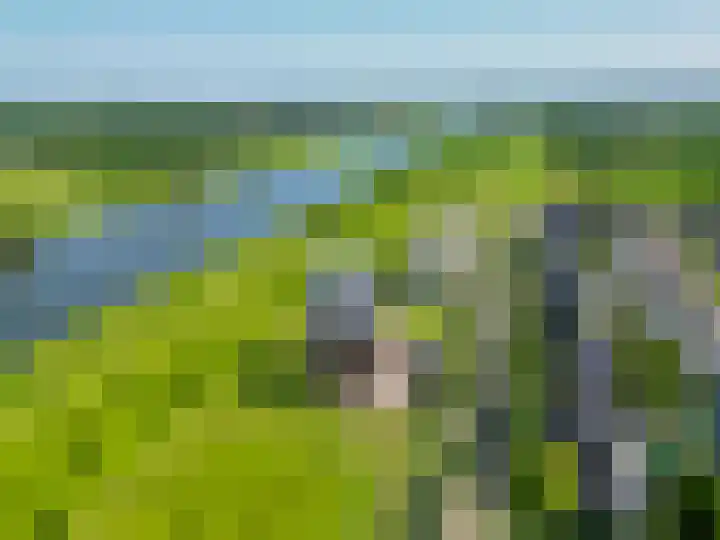 Watermunt 47 Tegelen thumbnail 34