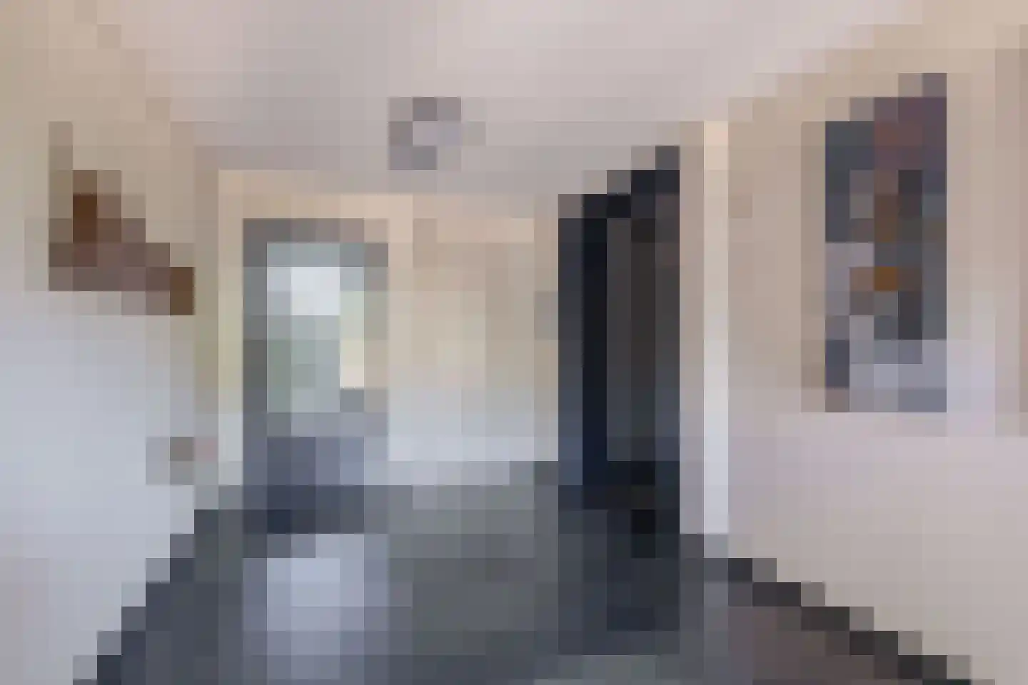 Watermunt 48 Tegelen thumbnail 8