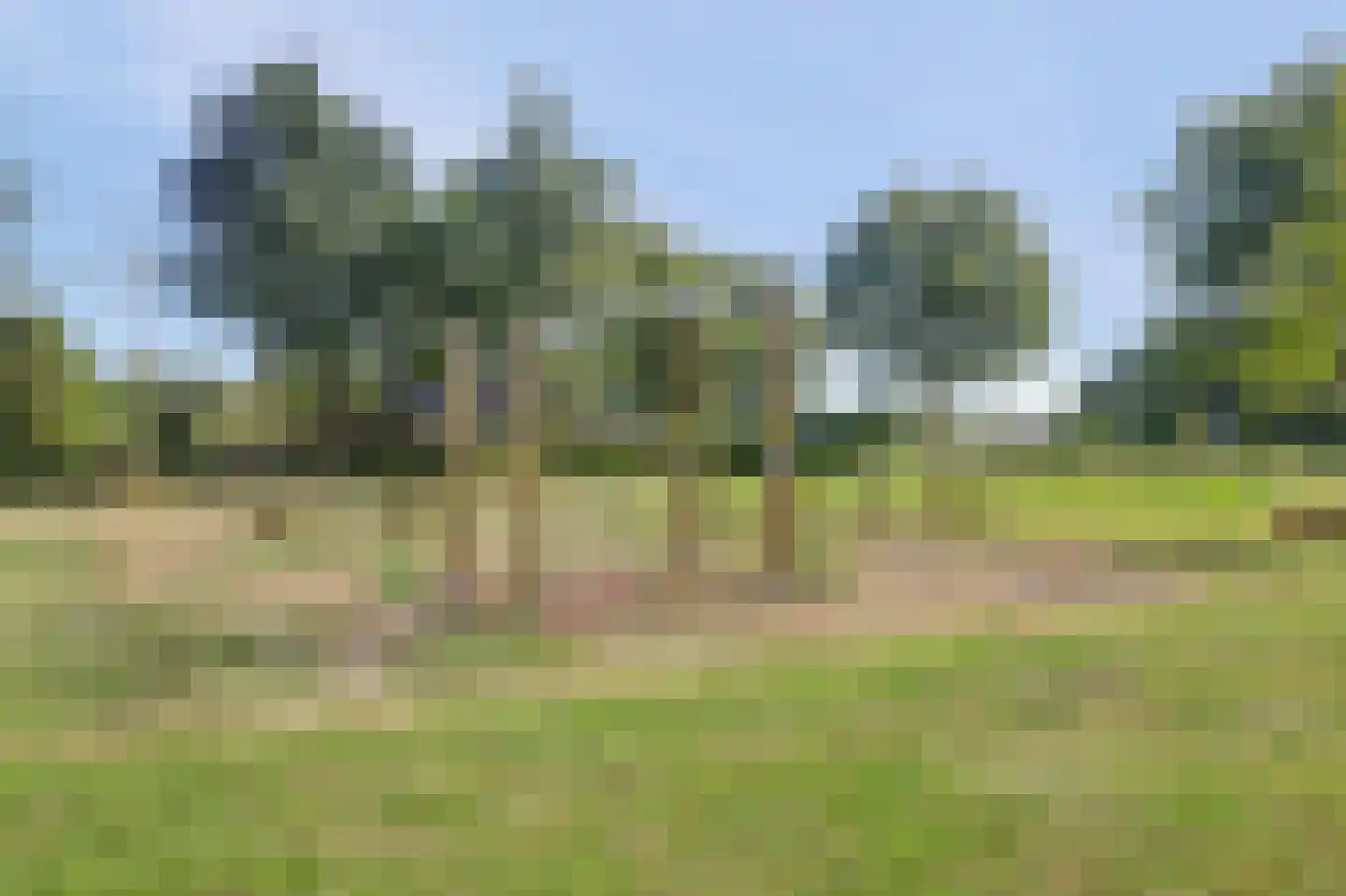 Watermunt 51 Oudkarspel thumbnail 42