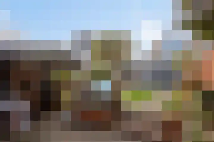 Watermunt 6 Abbekerk thumbnail 32