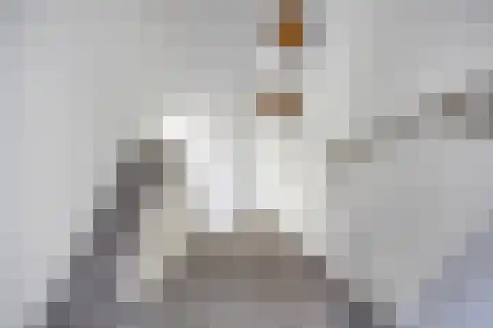 Watermunt 6 Abbekerk thumbnail 34