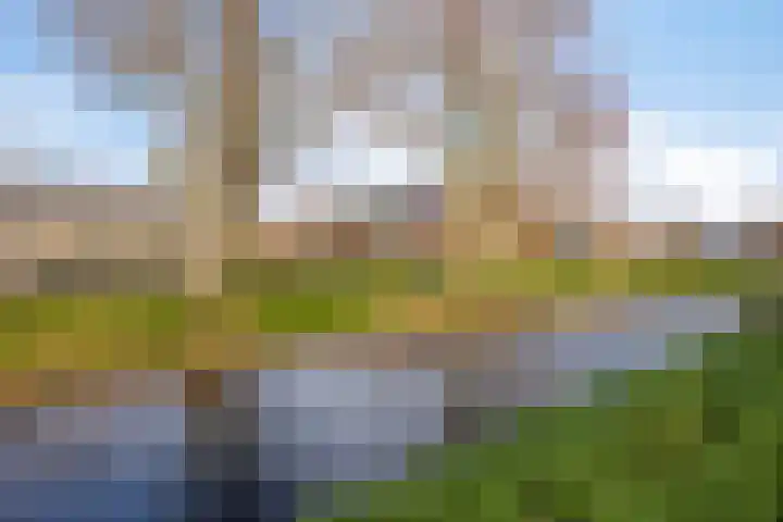 Watermunt 6 Abbekerk thumbnail 47