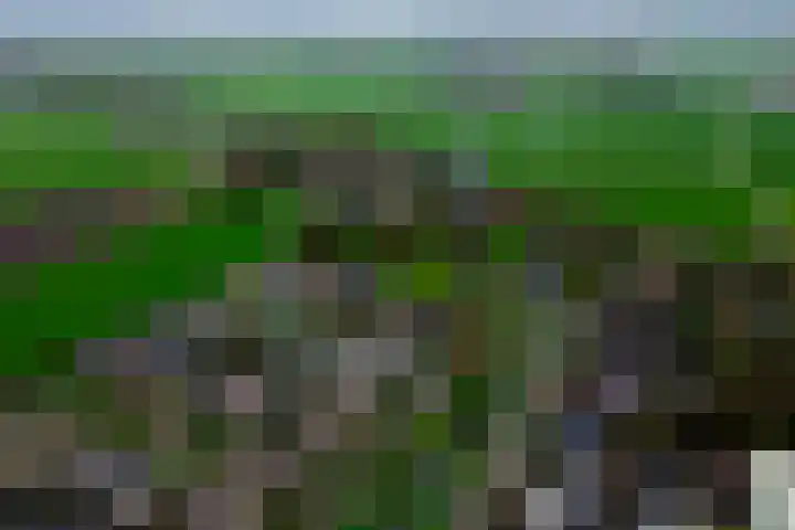 Watermunt 6 Abbekerk thumbnail 5