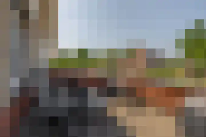 Watermunt 69 Tegelen thumbnail 13