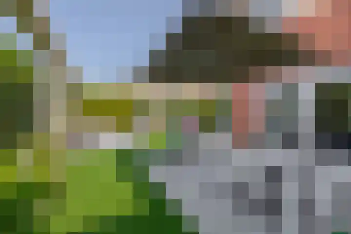 Watermunt 69 Tegelen thumbnail 21