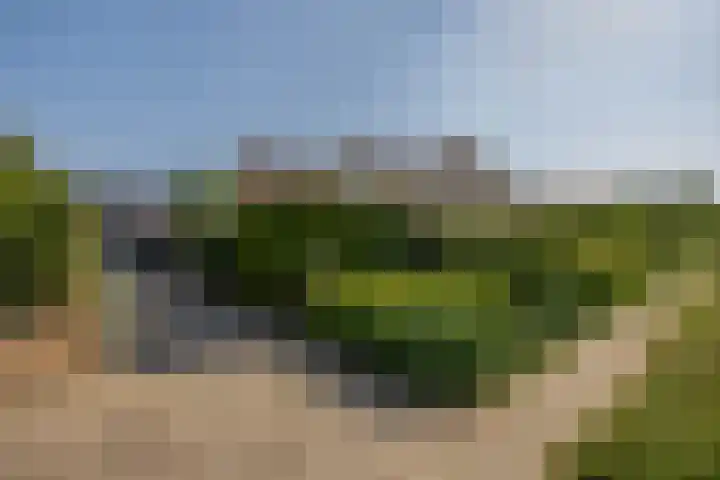 Watermunt 69 Tegelen thumbnail 25