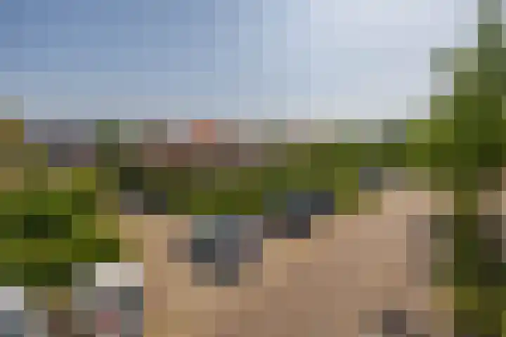Watermunt 69 Tegelen thumbnail 26