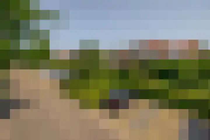 Watermunt 69 Tegelen thumbnail 27