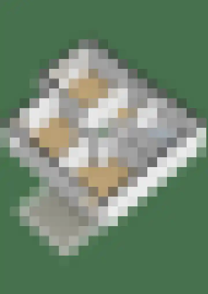 Watermunt 69 Tegelen thumbnail 31