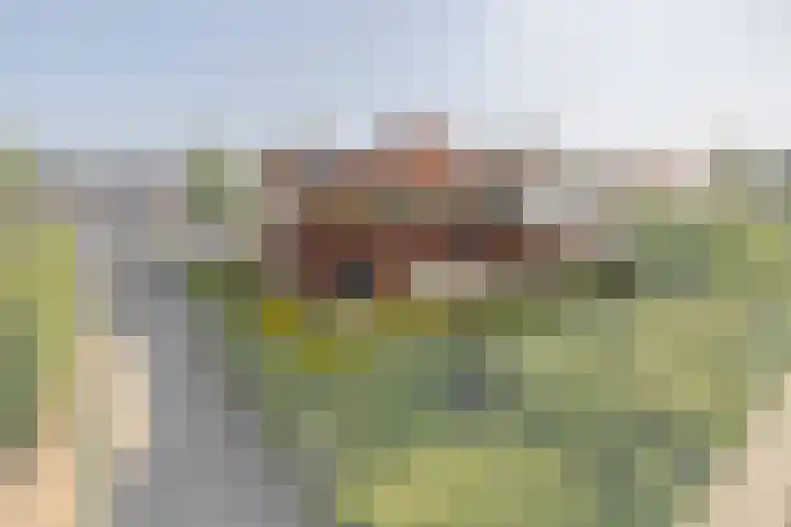 Watermunt 69 Tegelen thumbnail 34