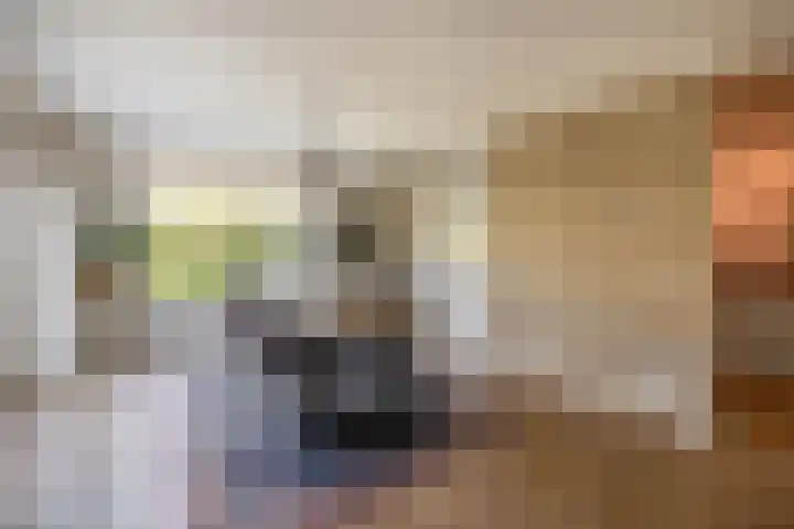 Watermunt 69 Tegelen thumbnail 6