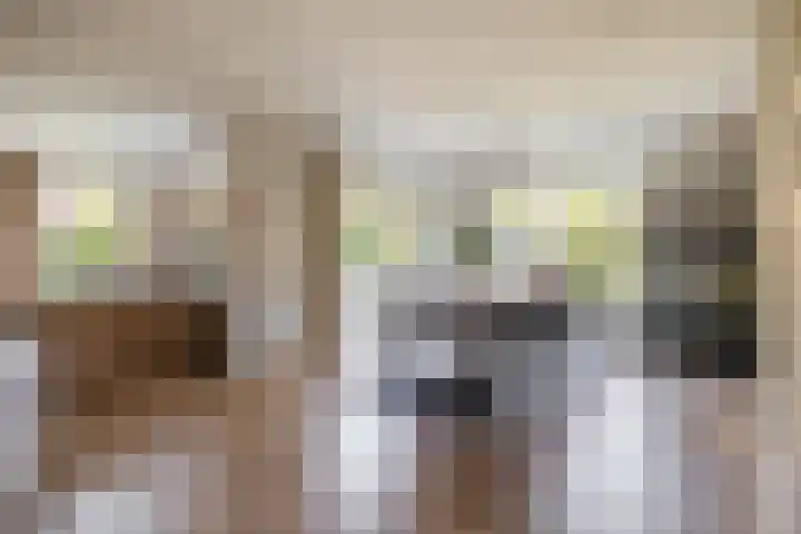 Watermunt 69 Tegelen thumbnail 7
