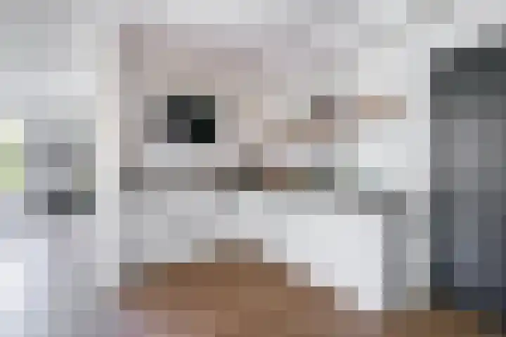 Watermunt 69 Tegelen thumbnail 9