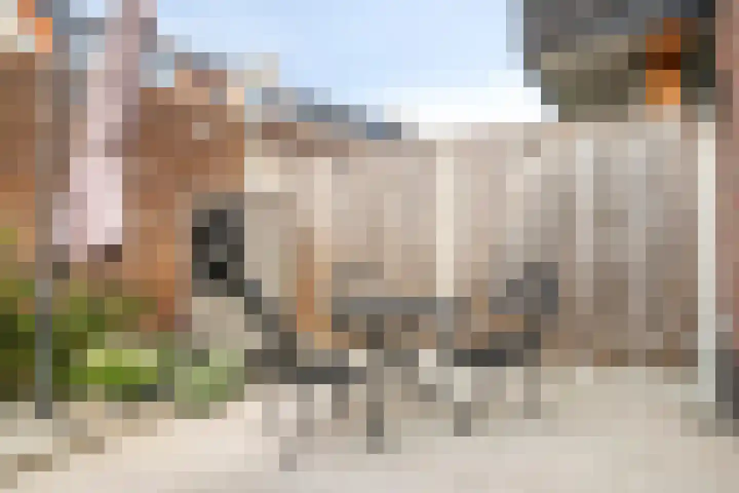 Watermunt 7 Berlicum thumbnail 28