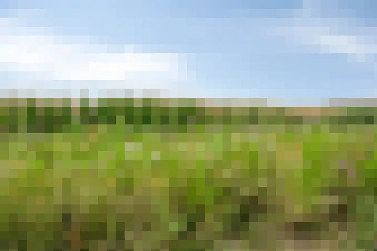 Watermunt 7 Berlicum thumbnail 34