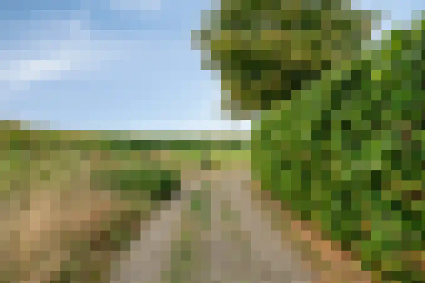 Watermunt 7 Berlicum thumbnail 35