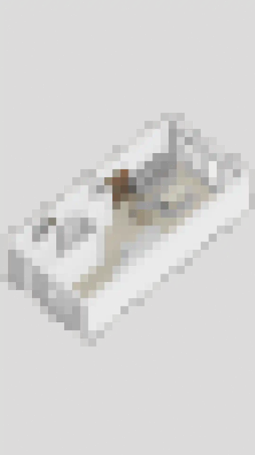 Watermunt 7 Berlicum thumbnail 47