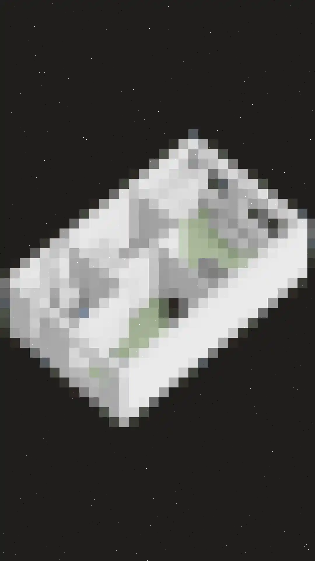 Watermunt 7 Berlicum thumbnail 48