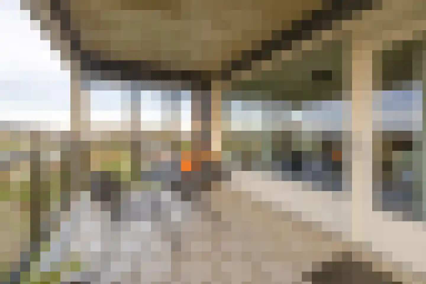 Watermunt 70 Tegelen thumbnail 13