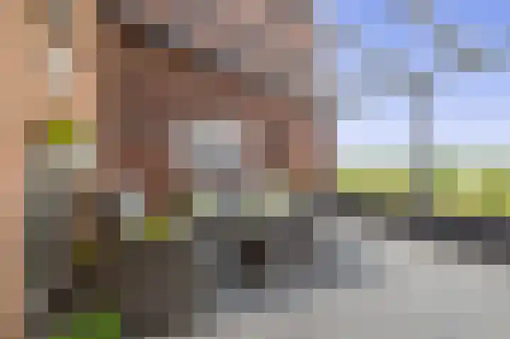 Watermunt 82 Tegelen thumbnail 12