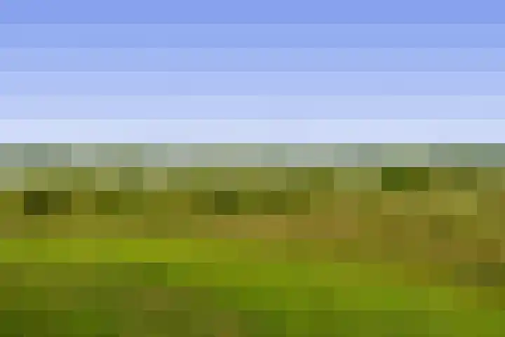 Watermunt 82 Tegelen thumbnail 15