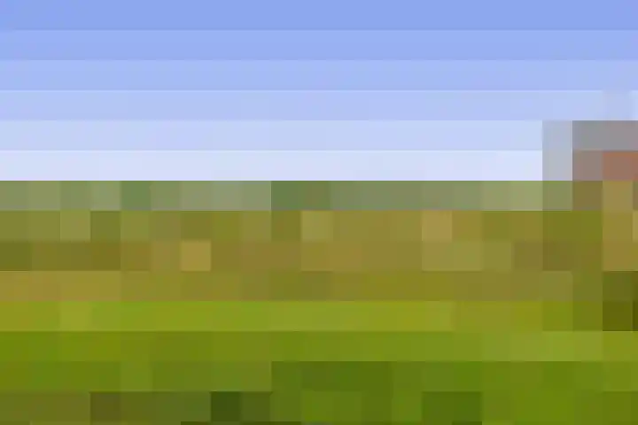 Watermunt 82 Tegelen thumbnail 16