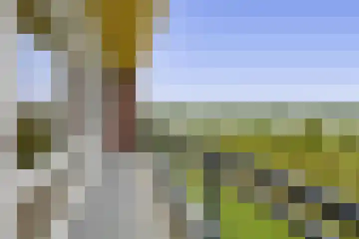 Watermunt 82 Tegelen thumbnail 21