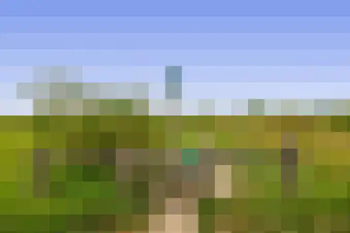 Watermunt 82 Tegelen thumbnail 37