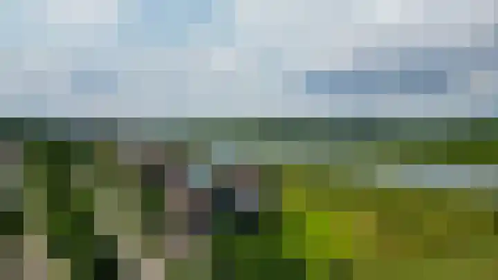Watermunt 82 Tegelen thumbnail 40