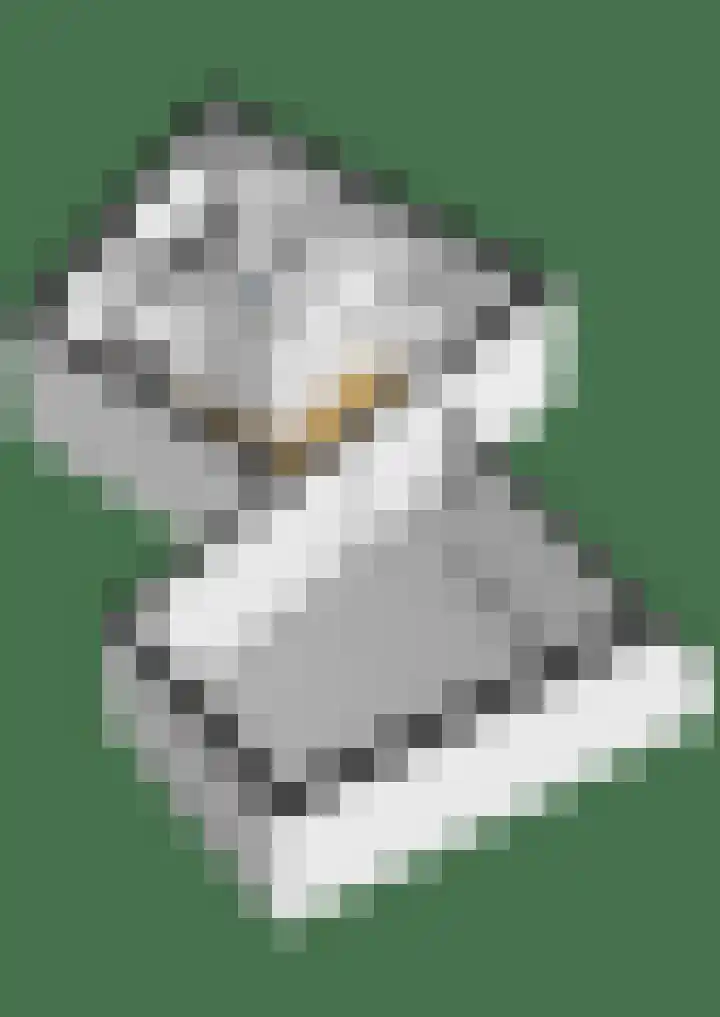 Watermunt 82 Tegelen thumbnail 46