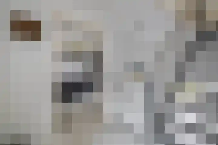 Watermunt 82 Tegelen thumbnail 9
