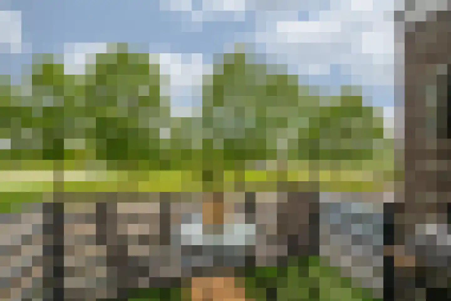 Watermunt 91 Tegelen thumbnail 10