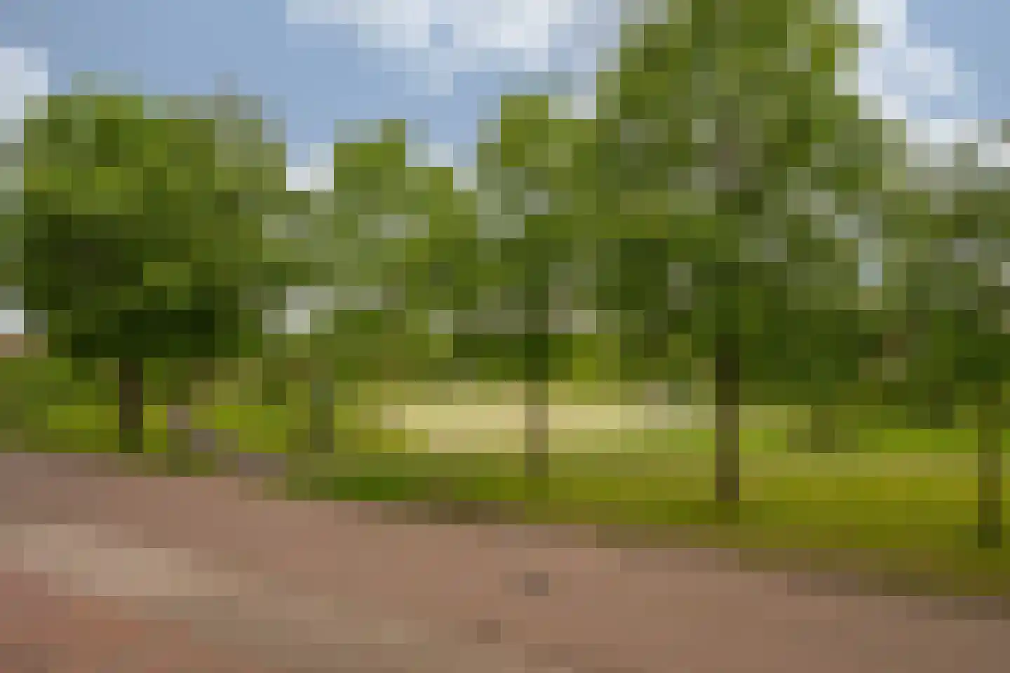 Watermunt 91 Tegelen thumbnail 12