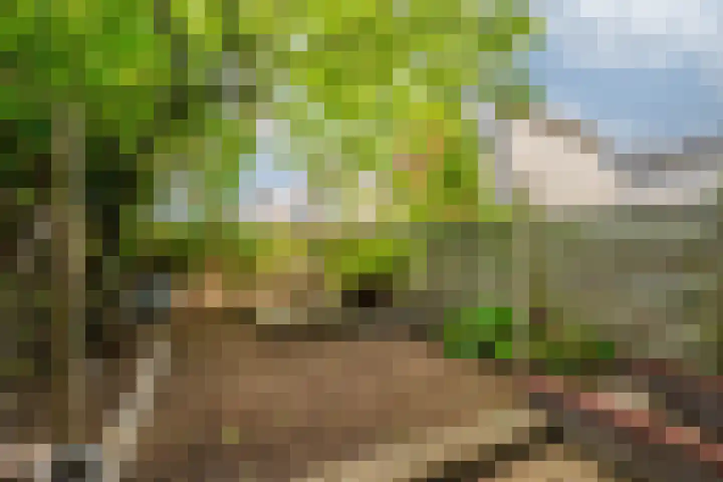 Watermunt 91 Tegelen thumbnail 27