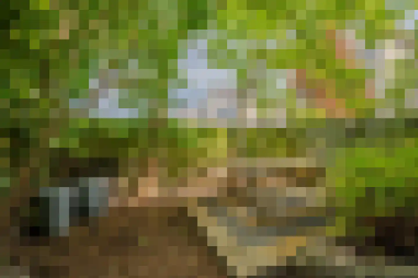 Watermunt 91 Tegelen thumbnail 29