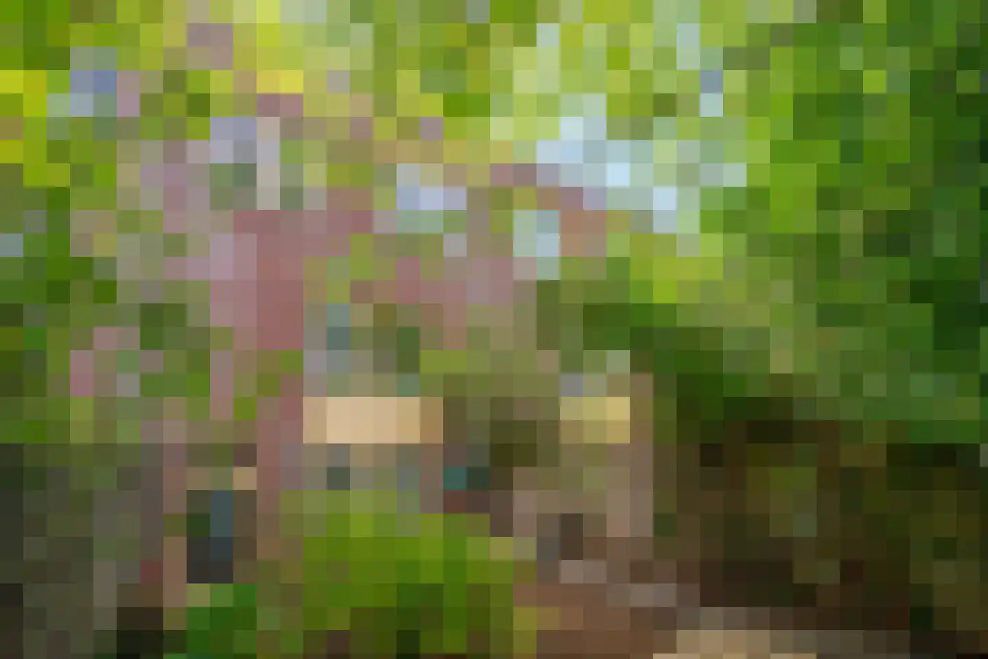 Watermunt 91 Tegelen thumbnail 30