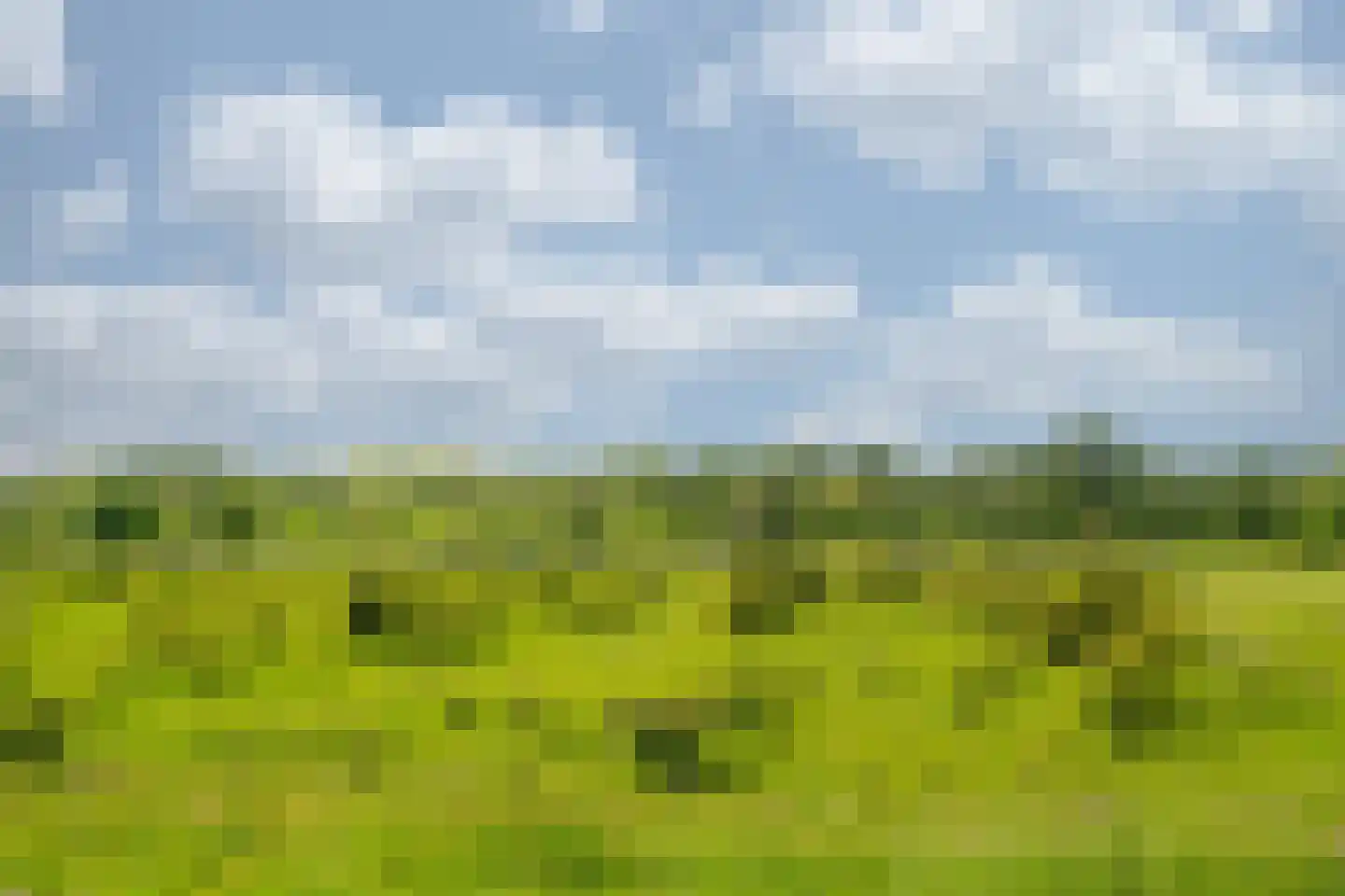 Watermunt 91 Tegelen thumbnail 34