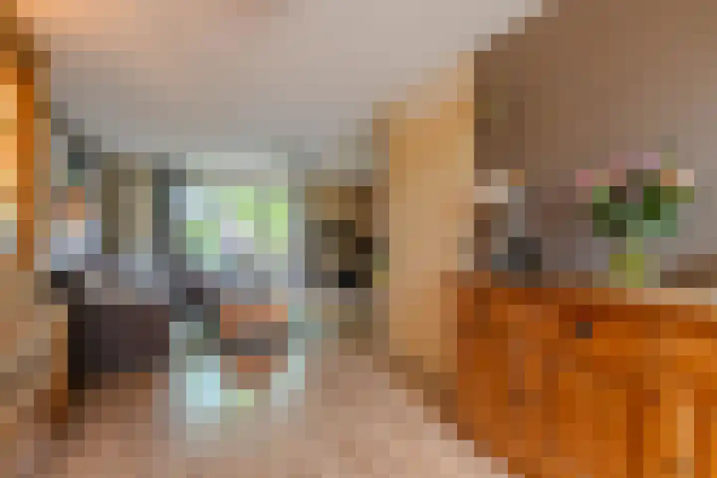 Watermunt 91 Tegelen thumbnail 4