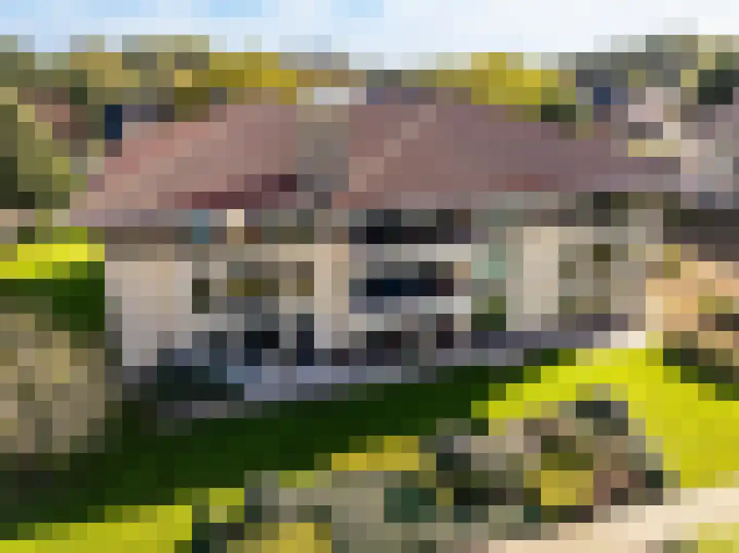 Watermuntlaan 39 Bennebroek thumbnail 41