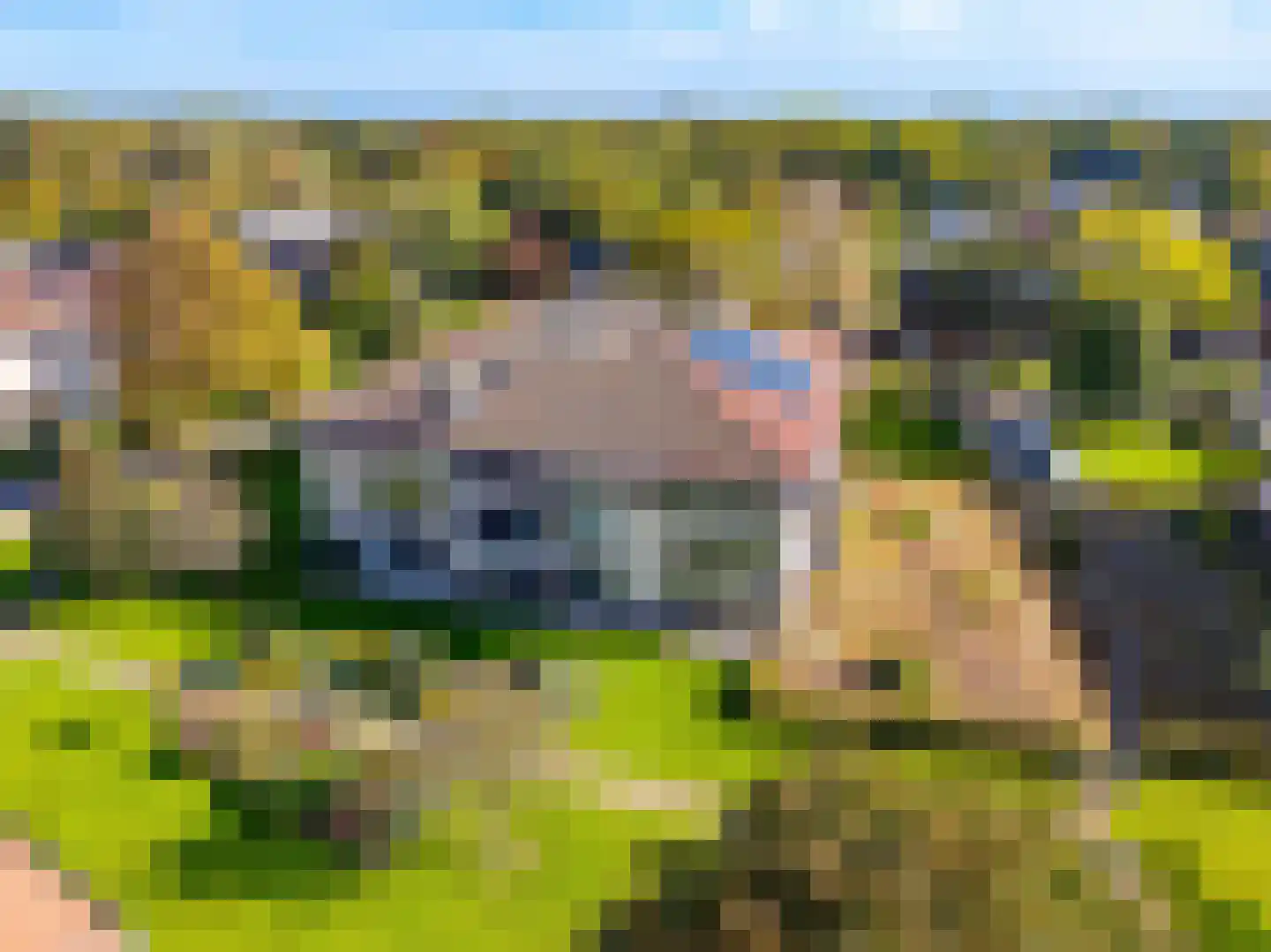 Watermuntlaan 39 Bennebroek thumbnail 42
