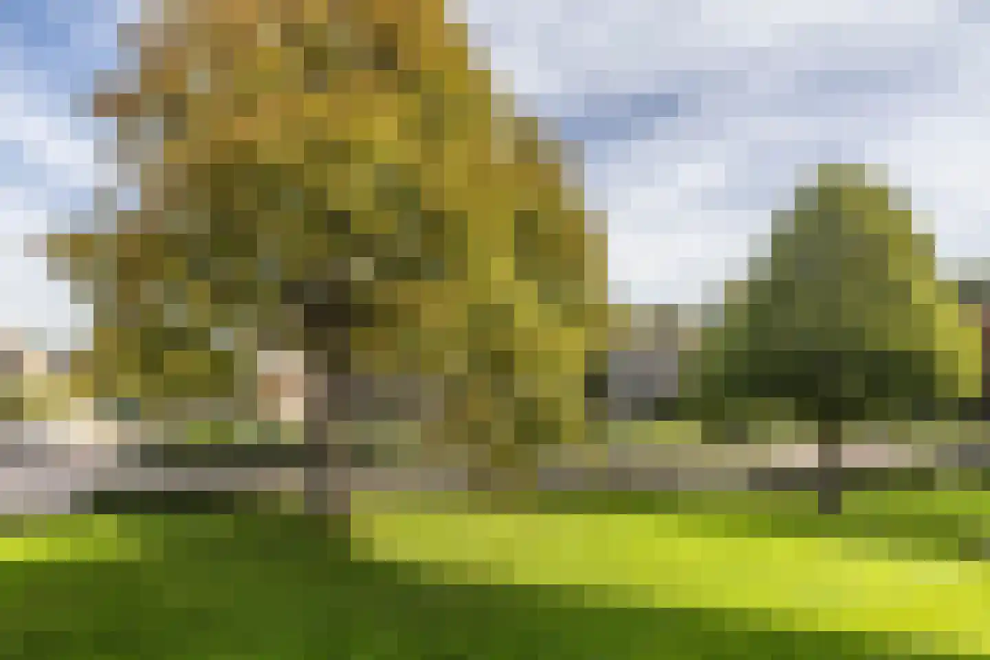 Watermuntlaan 39 Bennebroek thumbnail 8