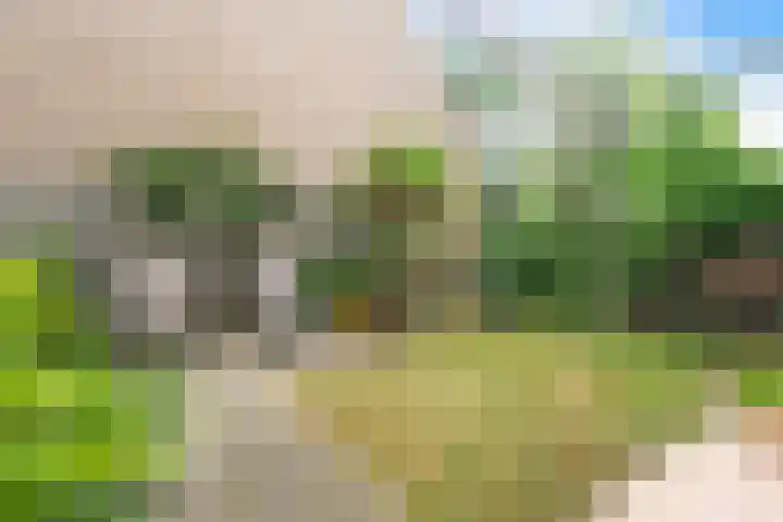 Watermuntlaan 4 Oosthuizen thumbnail 16