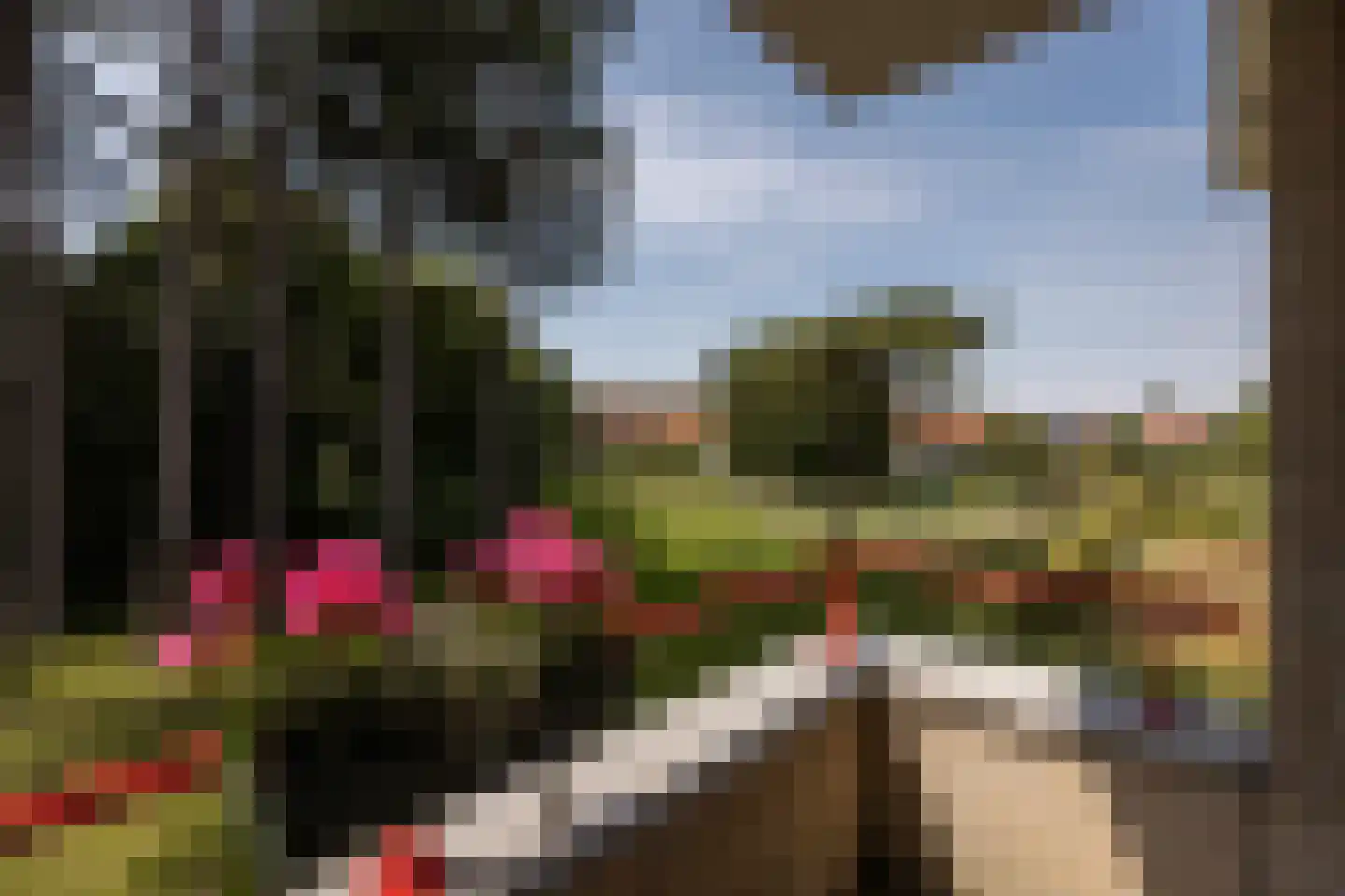 Watermuntlaan 63 Bennebroek thumbnail 33