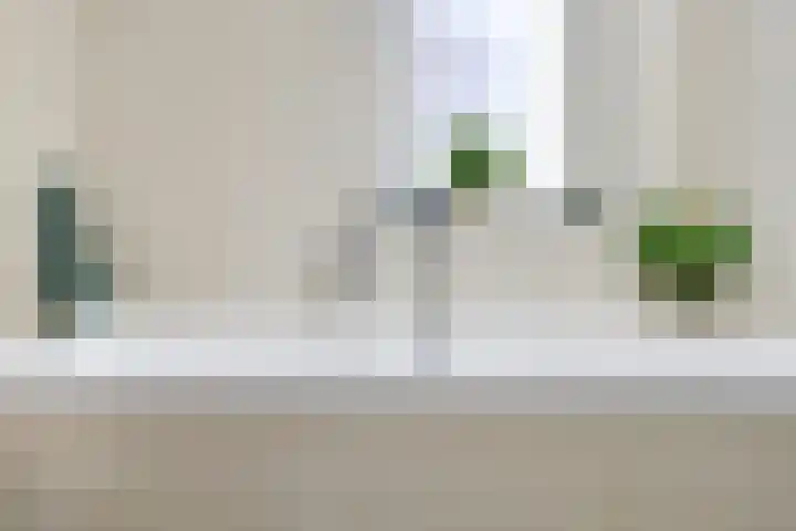 Watermuntlaan 7 Enschede thumbnail 31