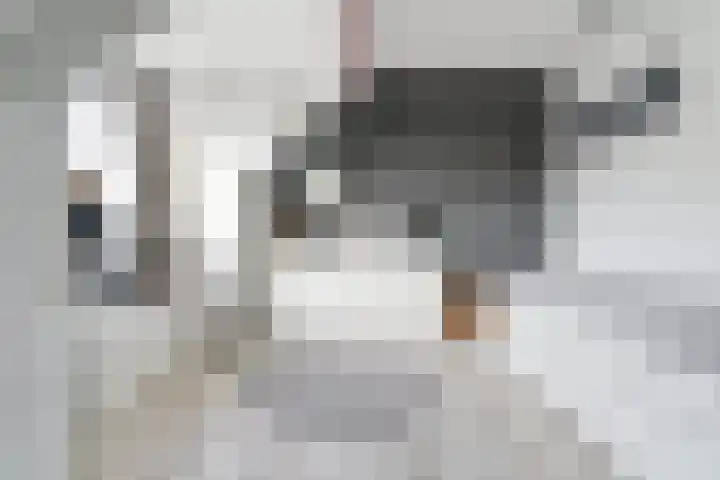 Watermuntlaan 7 Enschede thumbnail 36