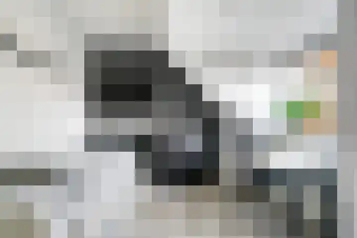 Watermuntlaan 7 Enschede thumbnail 38