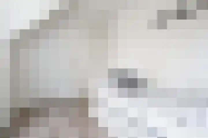 Watermuntlaan 7 Enschede thumbnail 39