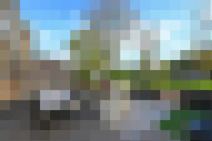 Watermuntlaantje 4 Landsmeer thumbnail 12